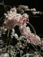 豊景神社の自然