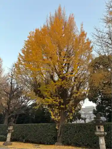 靖國神社(東京都)