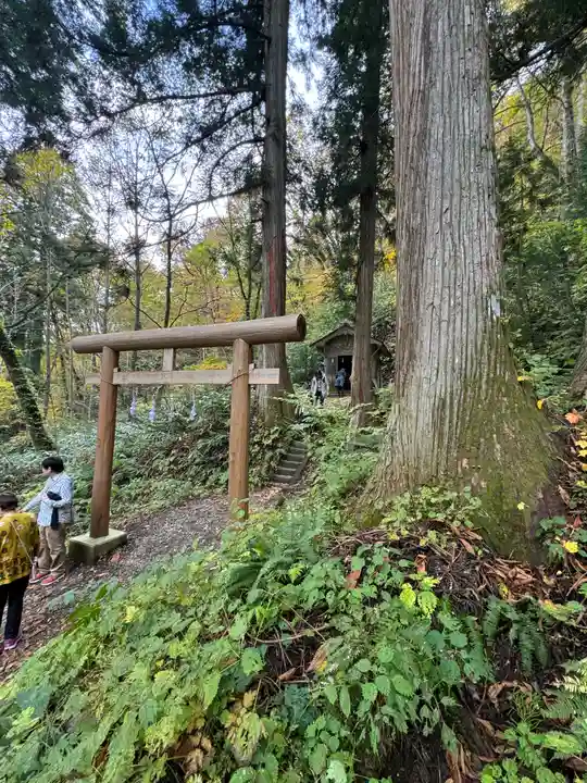 戸隠神社奥社(長野県)