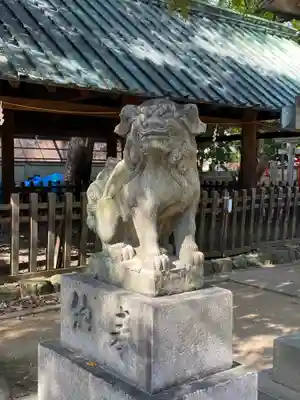 那古野神社の狛犬
