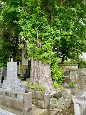 眞浄院(神奈川県)