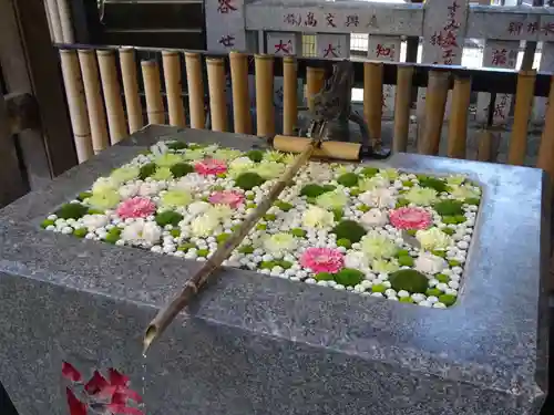高円寺氷川神社の手水舎
