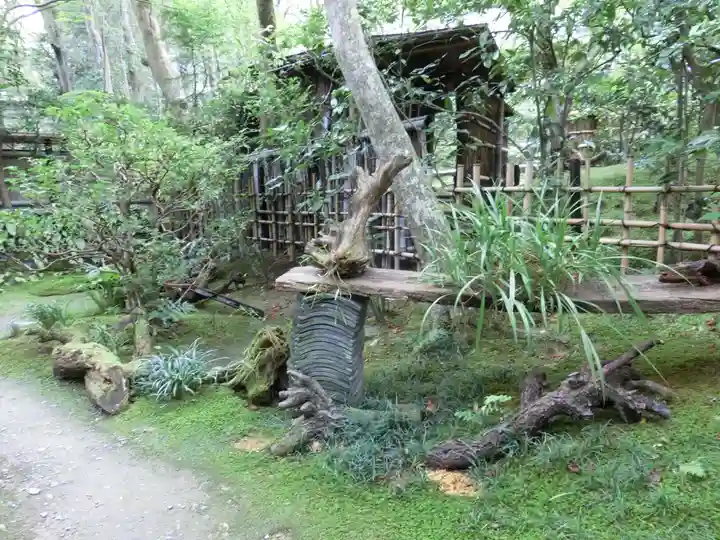 祇王寺(京都府)