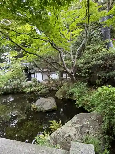 よみうりランド観音の{uncategorized: "未分類", other: "その他", undefined: "問題あり", building: "その他建物", grave: "お墓", sacred_gate: "鳥居", guardian: "狛犬", statue: "像", buddha: "仏像", history: "歴史", nature: "自然", garden: "庭園", animal: "動物", pagoda: "塔", temizu: "手水舎", mountain_gate: "山門・神門", sanctuary: "本殿・本堂", subordinate: "末社・摂社", art: "芸術", scenery: "景色", jizo: "地蔵", ema: "絵馬", goshuin: "御朱印", omikuji: "おみくじ", items: "授与品その他", amulet: "お守り", goshuincho: "御朱印帳", eats: "食事", festival: "お祭り", votive_dance: "神楽", shichigosan: "七五三参", wedding: "結婚式", experience: "体験その他", initially: "初詣", around: "周辺", anti_infection: "感染症対策"}