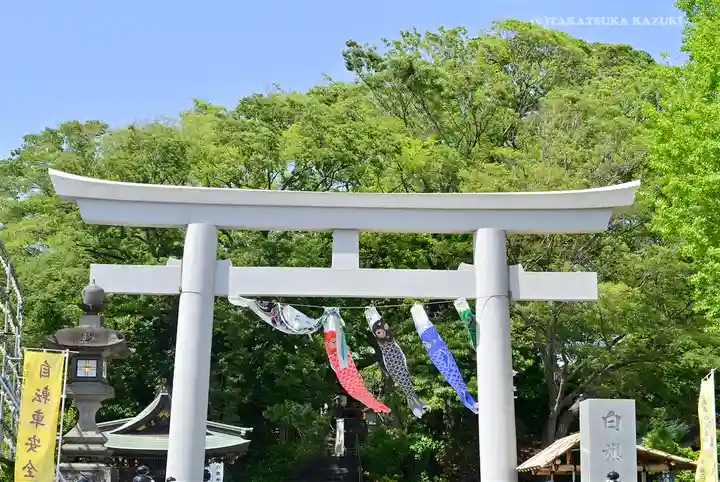 白旗神社の鳥居