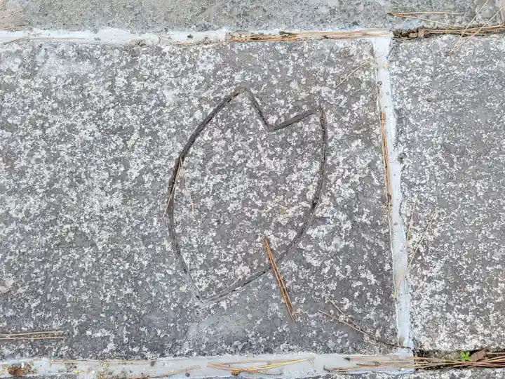 縣神社(京都府)