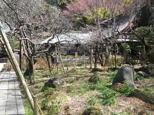 瑞泉寺の庭園