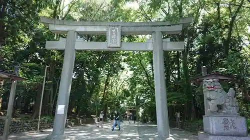 谷保天満宮の鳥居