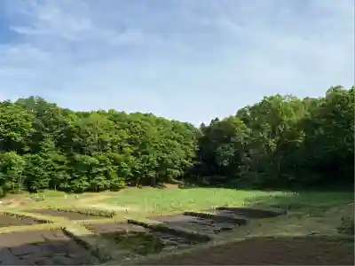 糀谷八幡宮(埼玉県)