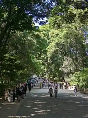 明治神宮(東京都)