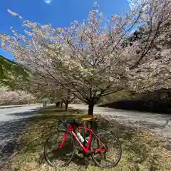 古峯神社の自然