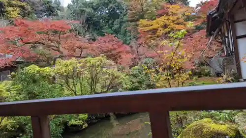 実相院門跡(京都府)