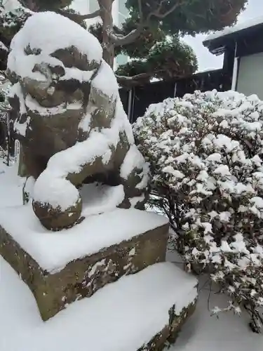 安積雷神社の狛犬