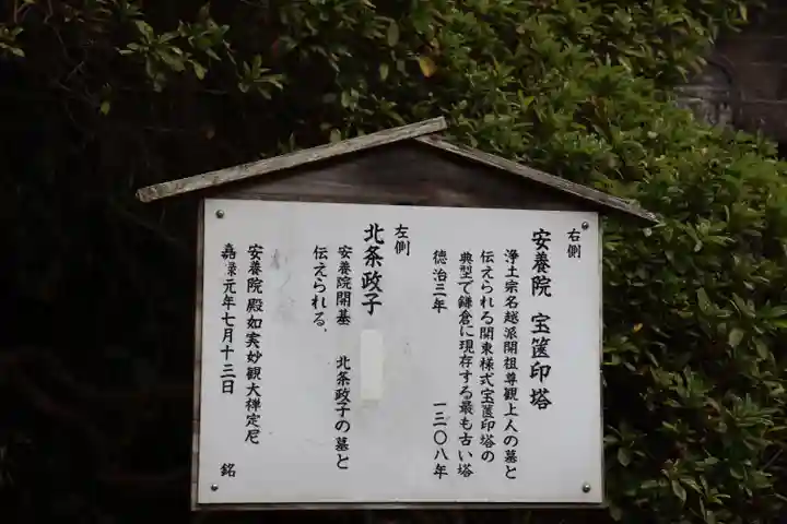 安養院 (田代寺)の歴史
