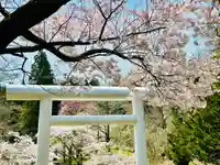 土津神社|こどもと出世の神さまの鳥居
