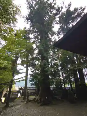 大悲願寺(東京都)