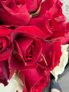 上尾御嶽神社(埼玉県)(2026年03月28日(土) 16時42分25秒投稿)