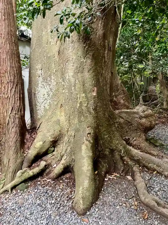 祓戸神社(新潟県)