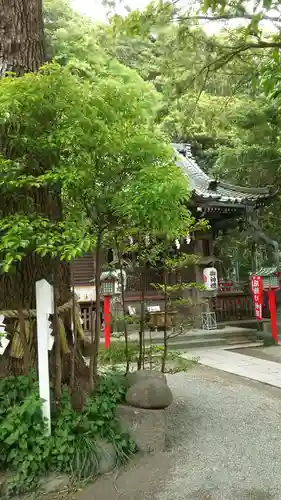 八雲神社（鎌倉・大町）の本殿・本堂