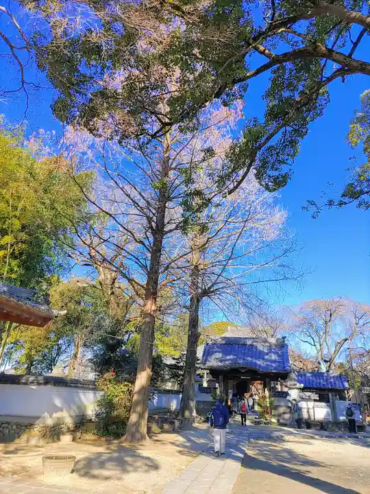 随応院(不遠寺隨應院)の自然