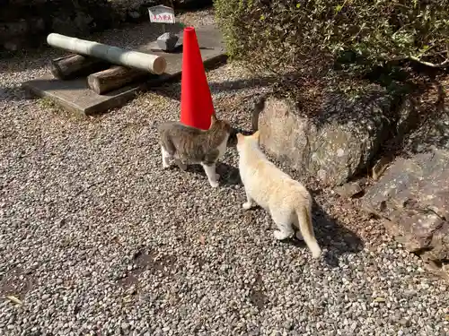 唐澤山神社(栃木県)