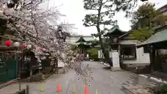 桜神宮の建物その他