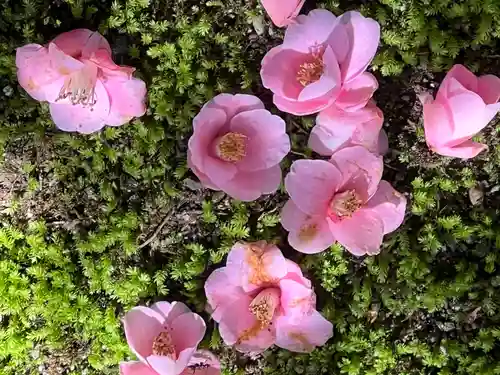 霊鑑寺門跡(京都府)