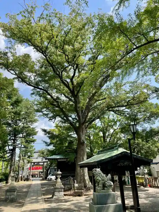 小杉神社(神奈川県)