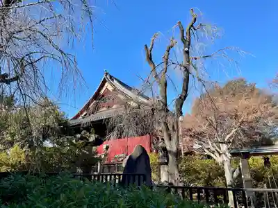 清水観音堂(東京都)