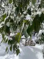 磐椅神社(福島県)