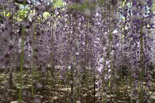 長泉寺の庭園