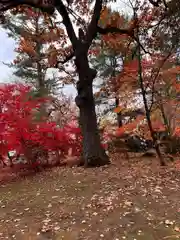 音更神社(北海道)