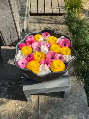 法輪寺の{uncategorized: "未分類", other: "その他", undefined: "問題あり", building: "その他建物", grave: "お墓", sacred_gate: "鳥居", guardian: "狛犬", statue: "像", buddha: "仏像", history: "歴史", nature: "自然", garden: "庭園", animal: "動物", pagoda: "塔", temizu: "手水舎", mountain_gate: "山門・神門", sanctuary: "本殿・本堂", subordinate: "末社・摂社", art: "芸術", scenery: "景色", jizo: "地蔵", ema: "絵馬", goshuin: "御朱印", omikuji: "おみくじ", items: "授与品その他", amulet: "お守り", goshuincho: "御朱印帳", eats: "食事", festival: "お祭り", votive_dance: "神楽", shichigosan: "七五三参", wedding: "結婚式", experience: "体験その他", initially: "初詣", around: "周辺", anti_infection: "感染症対策"}