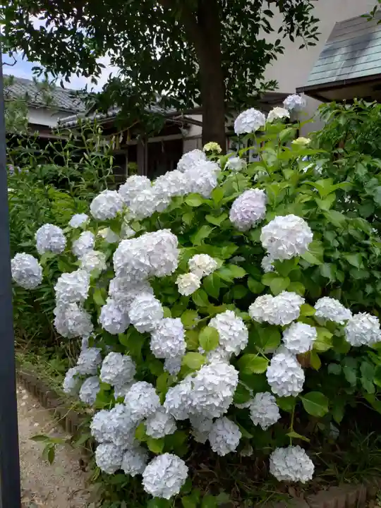 本郷氷川神社(東京都)