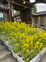 興徳寺(大阪府)