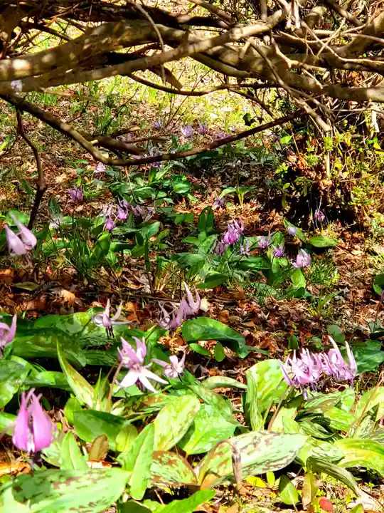 三春大神宮(福島県)