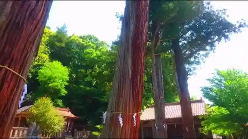 清神社の建物その他