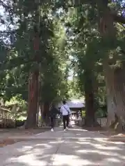 河口浅間神社(山梨県)