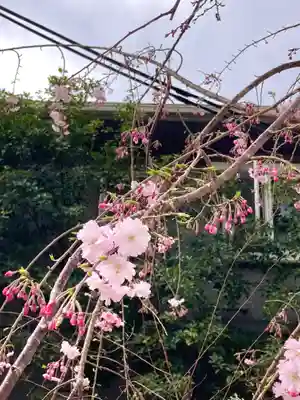 鳥飼八幡宮(福岡県)