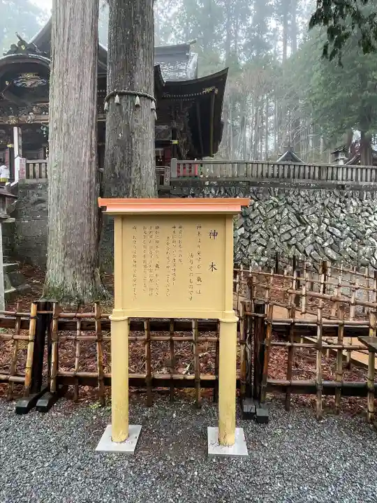 三峯神社(埼玉県)