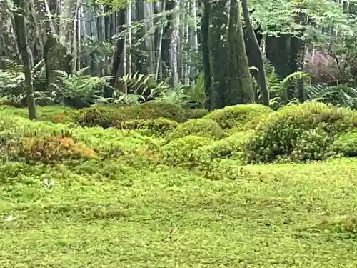 祇王寺(京都府)