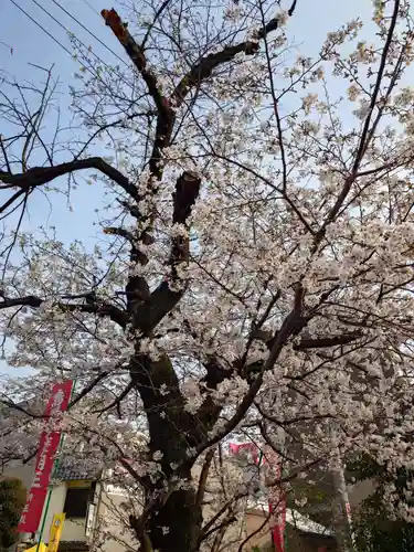 大光院(愛知県)