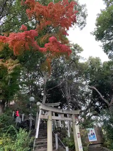 多摩川浅間神社の自然