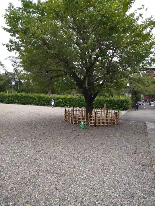 池上本門寺のその他建物