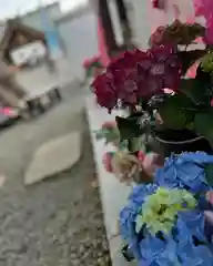 札幌諏訪神社の庭園