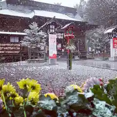 滑川神社 - 仕事と子どもの守り神の本殿