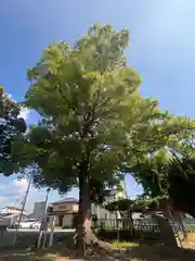 母衣輪神社(栃木県)