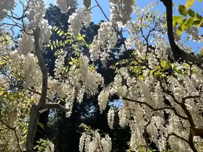歌泉堂（春日大社神苑萬葉植物園内鎮座）(奈良県)