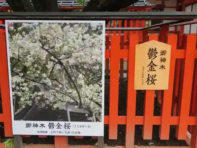 金櫻神社のその他建物