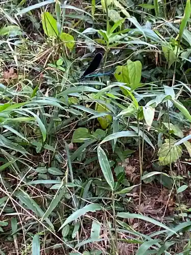 皷神社(岡山県)